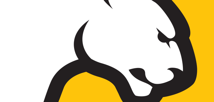 Former Birmingham-Southern Soccer Player Receives National Honor